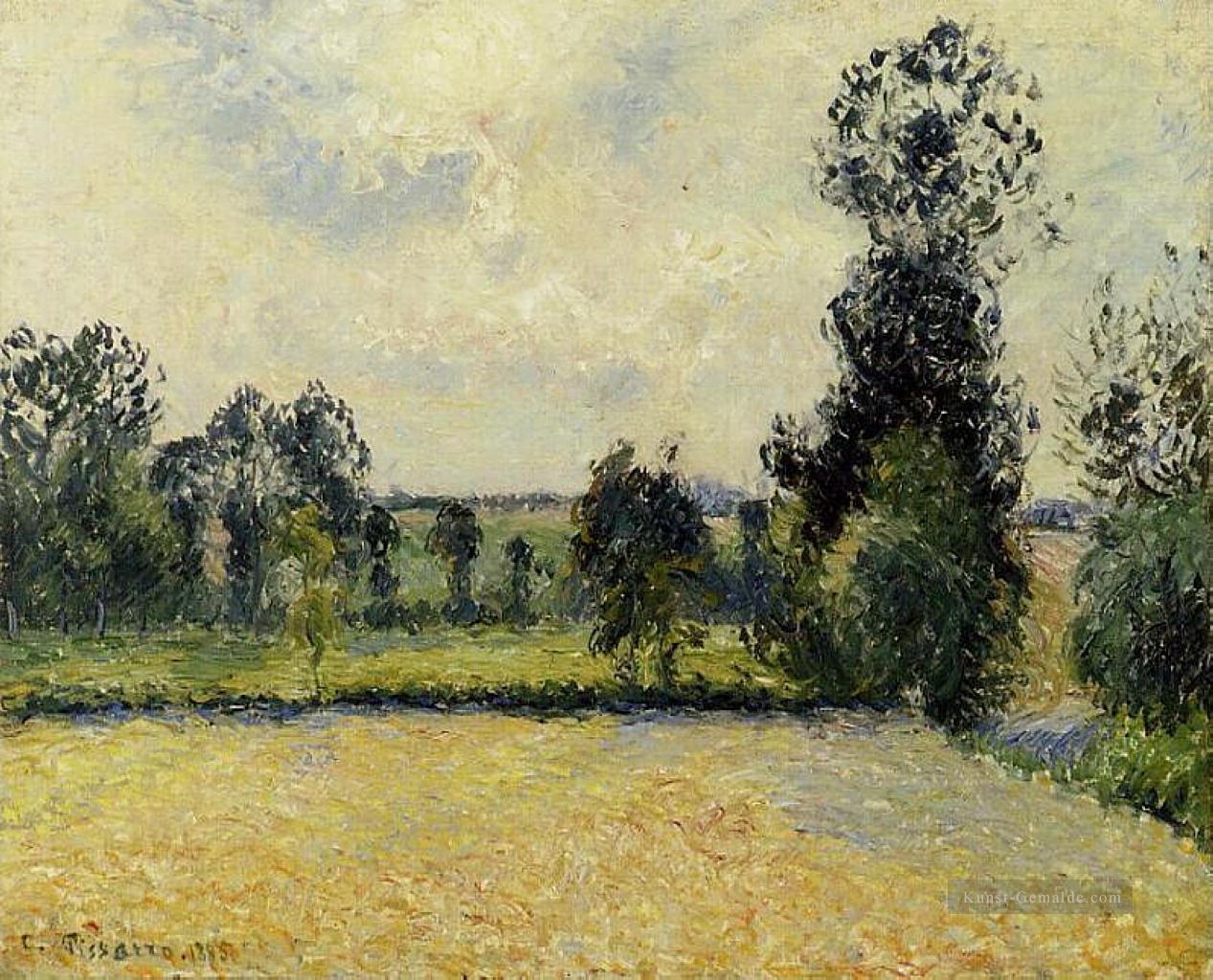 Feld von Hafer in eragny 1885 Camille Pissarro Szenerie Ölgemälde
